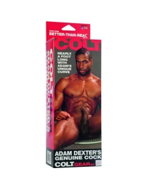 Calexotics - colt pene realÍstico adam dexter 2