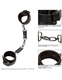 Calexotics - euphoria esposas