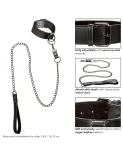 Calexotics - euphoria collar con correa de cadena