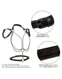Calexotics - euphoria arnÉs estilo cabestro con mÚltiples cadenas premium